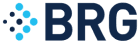 brg company logo