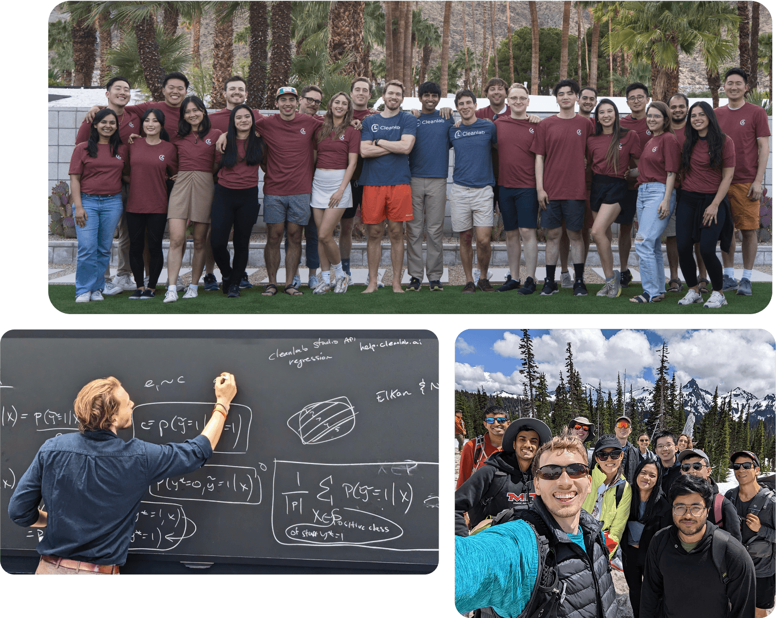 Diagram of Cleanlab’s AI data quality platform