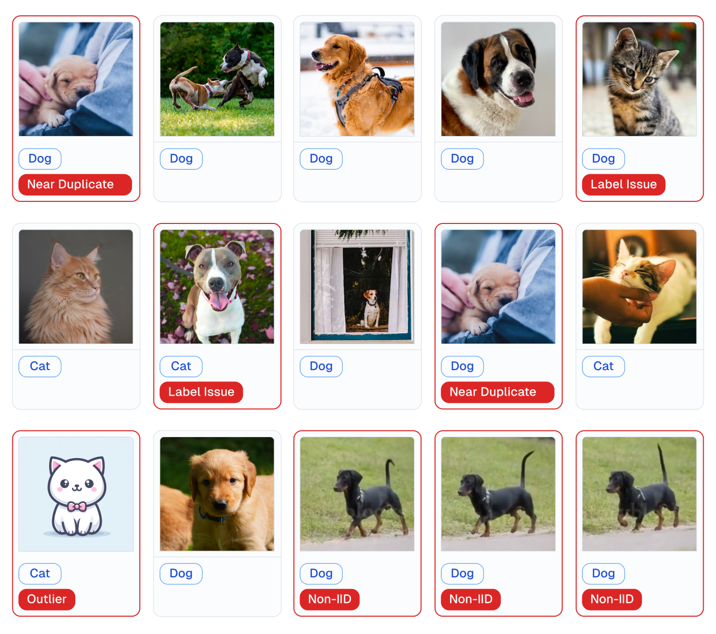 Detected issues in image data