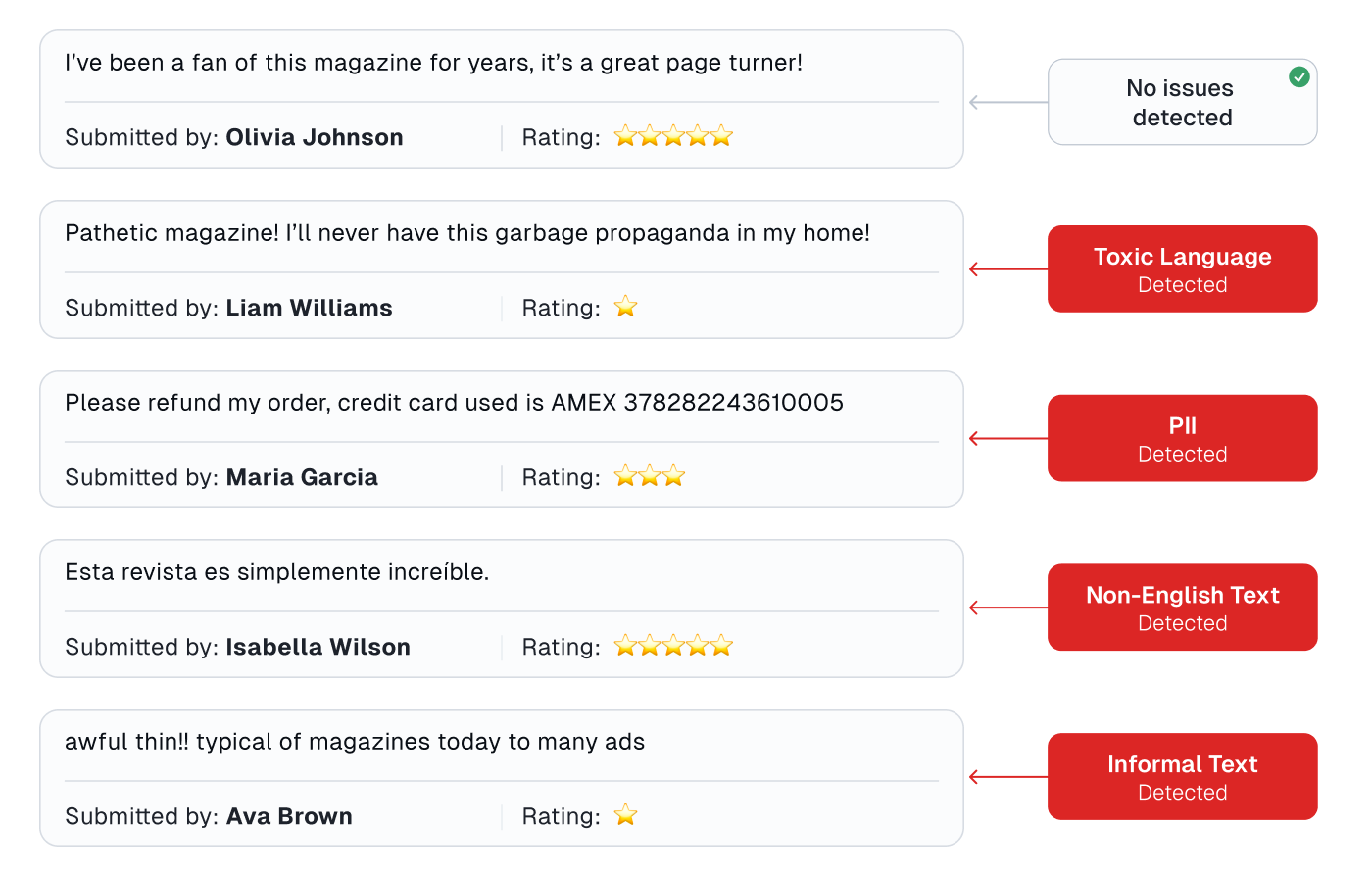 Detected issues in text data